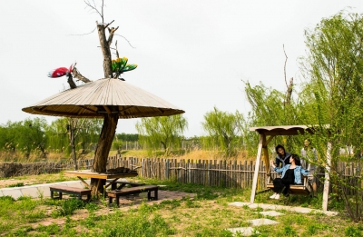 建设生态文明 呵护碧水蓝天|齐河擦亮“黄河水乡、生态齐河”