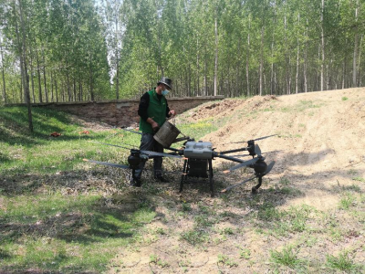 夏津县开展春尺蠖防治