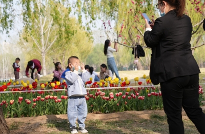 诗 | 刘洪玮 :春日即事