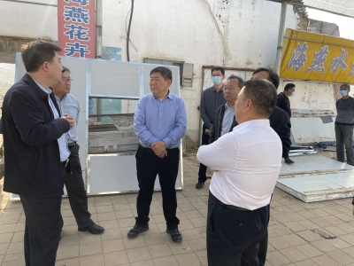 德州市委常委、副市长樊廷雷调研岔河、减河“两河四岸”堤顶路改造工作