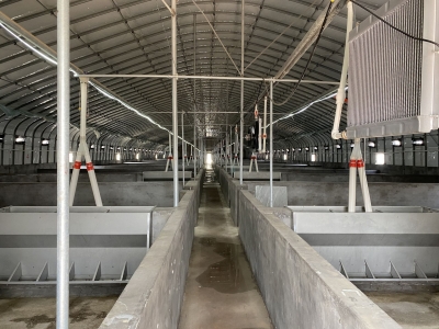 庆云县渤海路街道：党支部领创办合作社 托起乡村致富梦