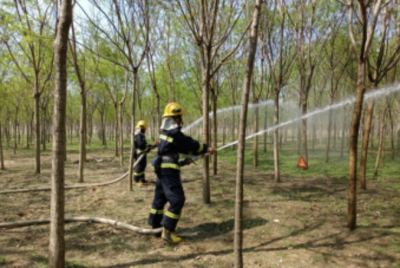 德州市县两级应急部门全力以赴 做好节前森林防火工作