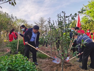 弘扬劳模精神 共建绿色家园 | 德州市总工会组织植树活动 樊廷雷参加