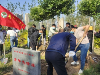 【创建全国文明城市】弘扬劳动精神 共青团德州市委组织青年代表共建“青年先锋林”
