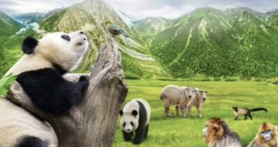 共建地球生命共同体 | 德州市发改委举办2022年国际生物多样性日网络答题活动 
