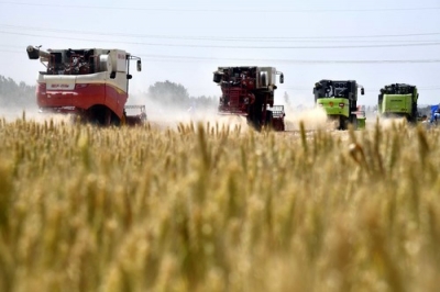 美文｜邓吉收：麦收纪事