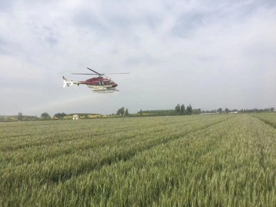 10分钟2000亩！ | 武城县小麦飞防作业用上直升机