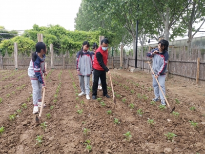 乐陵：实践基地“四进” 文明网络“贯通”