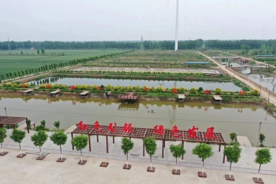 开展环境整治 建设美丽乡村 | 宁津王世英村：坑塘变“金塘” 小村好风光