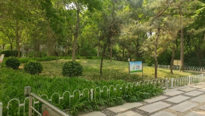 美文 | 李丽：夏日的风