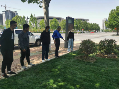 平原：栽植苗木11万余株，春季绿化提升工程全部完工