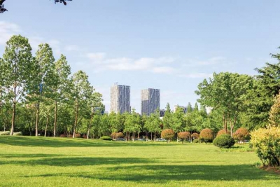 诗 | 林荣艳：夏天来了