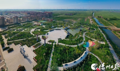 诗｜韩淑霞：追光