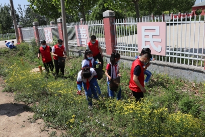 庆云：一枚小奖章 助推环境整治群众参与率