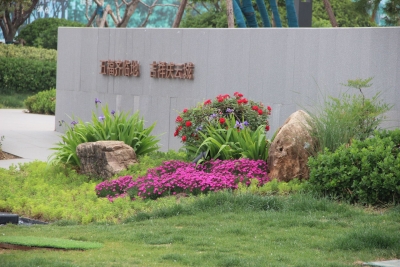 庆云县：给城市“添绿”为幸福“充值”