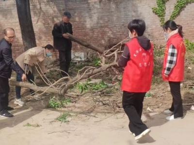 党建联合 组织联动 环境联治 | 夏津县香赵庄镇党建联合体助推人居环境大提升