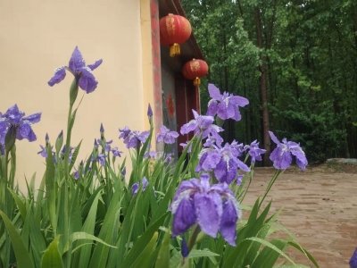 诗｜周童：青春的芭蕾