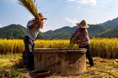 德报说节气｜今日小满！何须多虑盈亏事，终归小满胜万全