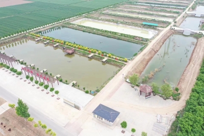 开展环境整治 建设美丽乡村 | 宁津柴胡店镇：巧治废坑塘 增收又增靓