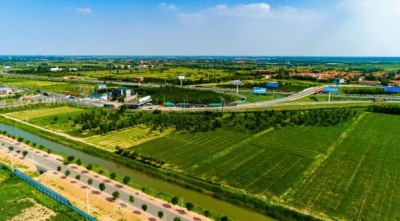 庆云县尚堂镇：“疏堵结合”巧治农村“牛皮癣”