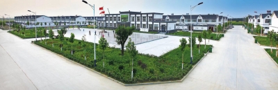 乡村振兴 | 齐河：“人居环境+”唱响新时代“田园牧歌”