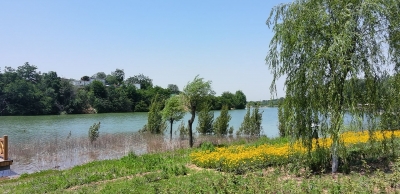 于春峰无题诗三首