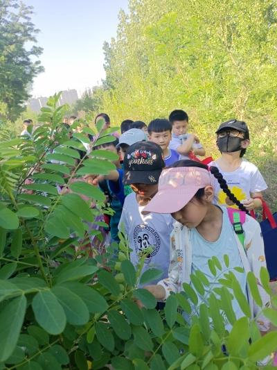 庆“六一”儿童诗选 | 夏津县银城社区孩子们的诗