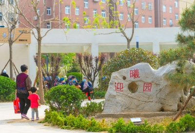 德城区：“巴掌大”的空地也添上一抹绿