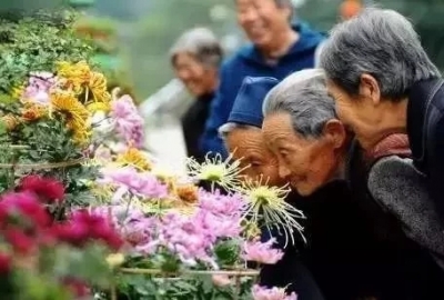 美文｜王淑芬：最美夕阳红