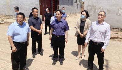 德州市委副书记苑衍刚到陵城区督导调研“吨半粮”指挥田和重大项目及特色镇建设工作