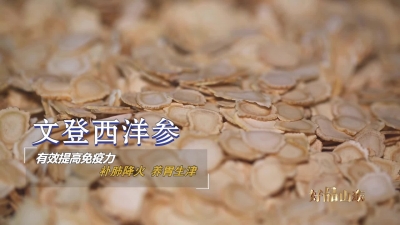 文登西洋参、昌邑大姜、泰山板栗……这些区域农产品领域的山东好品努力打造地域名片，如今已深受消费者认可和喜爱～#好品山东#好客山东好品山东