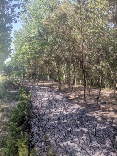 点赞！巡查途中突遇险情，德州数字城管采集员秒变“消防员”