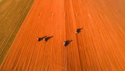 齐河：黄河岸畔奏响乡村振兴进行曲！ 