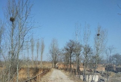 美文｜邓吉收：难忘儿时看电影