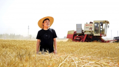 诗｜于佃俊：父爱宽广