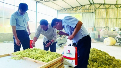 截至5月末各项贷款余额64.29亿元 | 宁津农商银行奏响乡村振兴金融协奏曲