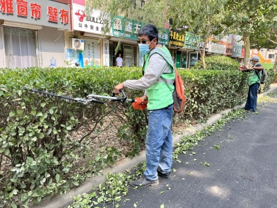 市城管局实施精细化改造提升，堤口路“靓”起来！