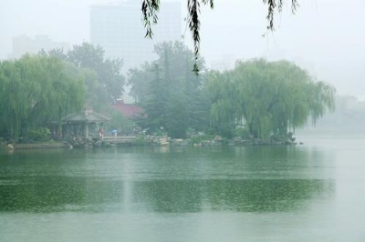 诗｜赵立章：等来了雨