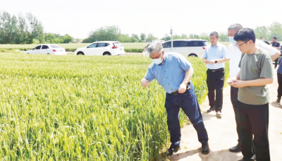 一季度新增各项贷款创历史新高 | 德州银保监分局：监管引领金融为实体经济蓄势赋能