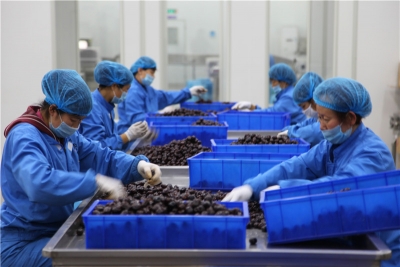 力争3年转化科技成果100项！德州市健康食品产业创新创业共同体启用