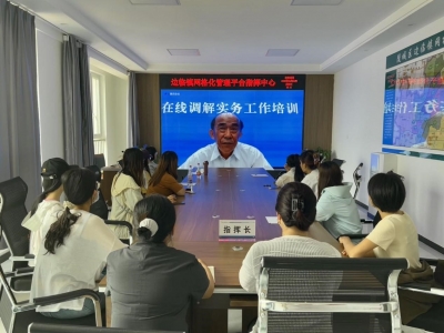 陵城区边临镇专职网格员集中“充电” | 提升业务技能促矛盾纠纷调解
