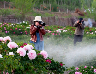 诗｜张清昌：祖孙习典（外三首）