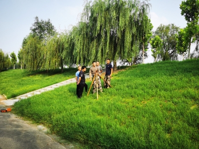 散文｜朱殿封：归来凉面飘麦香