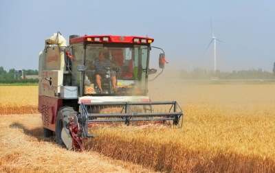 《人民日报》关注夏津：政策稳，稳住种粮预期