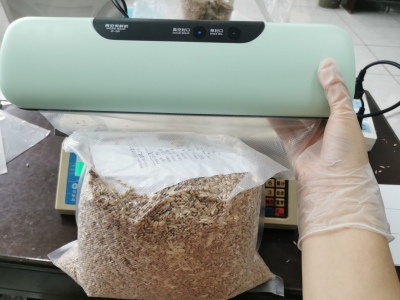 乐陵市统计局：夏粮调查样本守护粮食安全大数据