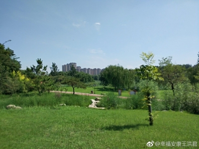 诗｜张清昌：盛夏夜雨