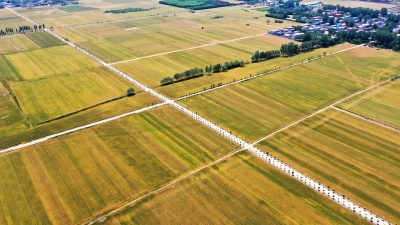 散文｜文勇：“失落”的雨靴