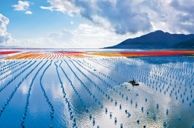 “保持战略定力”！总书记强调建设人与自然和谐共生的现代化