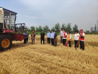 又是一年丰收季 | 平原县德原街道全力备战“三夏”生产