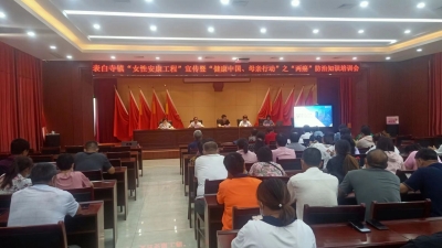 齐河县妇联：念好“三字经” 做实民生事